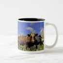 Search for happy together mugs Friendship
