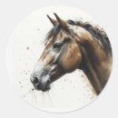 Search for clydesdale stickers Equestrian