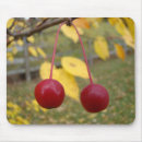 Search for red apple mousepads Autumn