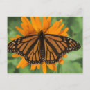 Search for part postcards Pattern