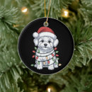 Search for bichon frise christmas tree decorations Santa