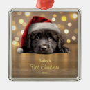 Search for newfoundland christmas tree decorations Cute