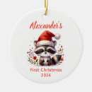 Search for cute racoon christmas tree decorations Baby