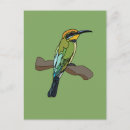 Search for bee postcards Merops apiaster
