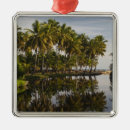 Search for hispanic christmas tree decorations Latino