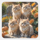 Search for autumn kitten stickers Pumpkins
