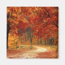 Search for fall leaf magnets Autumn