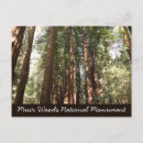 Search for national monument postcards Trees