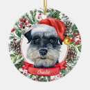 Search for schnauzer christmas tree decorations Watercolor