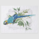 Search for bird tissue paper Animal