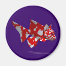 Search for crazy magnets Cats