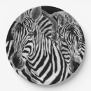 Search for zebra plates White