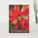 Search for indian birthday cards Wildflower