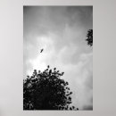 Search for black and white tree silhouette art Leaves