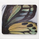 Search for butterfly wings mousepads Nature