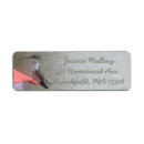 Search for hummingbird return address labels Nature
