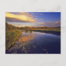 Search for jackson hole postcards River