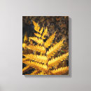 Search for fall canvas prints Botanical