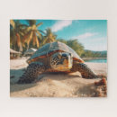 Search for turtle puzzles Tropical