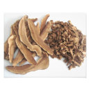 Search for edible mushroom posters Nature