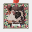 Search for puppy christmas tree decorations Puppy's first christmas