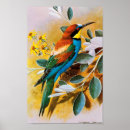 Search for vintage bird posters Yellow