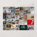 Search for life cycle postcards Biking