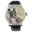 Search for corgis photography Cute