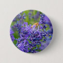 Search for lavender flower badges Purple flowers