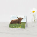 Search for scotland birthday cards Animal