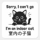 Search for sorry stickers Meme