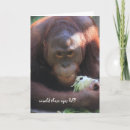 Search for orangutan birthday cards Monkey