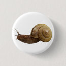 Search for snails badges Shell