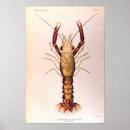 Search for biological art Science