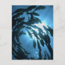 Search for conformation postcards Outdoors