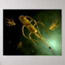 Search for pathogen posters Healthcare