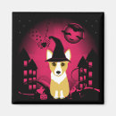 Search for witch magnets Bats