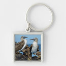 Search for blue bird key rings Avian