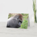Search for lowlands Animal