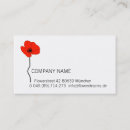 Search for mohn Papaver