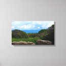 Search for azalea art Rhododendrons