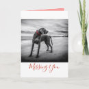 Search for black white and red cards Dog