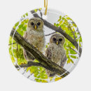 Search for barred owl christmas tree decorations Nature