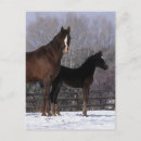 Search for mares postcards Equestrian