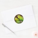 Search for budgie crafts party Parakeet