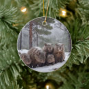 Search for frozen christmas tree decorations Wildlife
