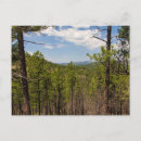 Search for custer postcards South dakota