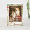 Search for rough collie christmas cards Pet