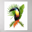 Search for tropical bird posters Toucan