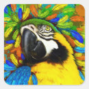 Search for blue and gold macaw stickers Parrot